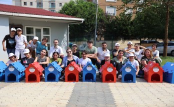 Türkiye genelinde sahipsiz sokak hayvanı sayısı 10 milyona yaklaştı