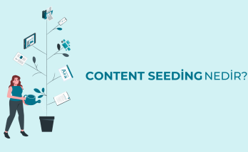 Content Seeding Nedir? 