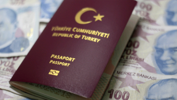 Vize dolandırıcılarına dikkat,  arama motoru reklamlarını kullanıyorlar