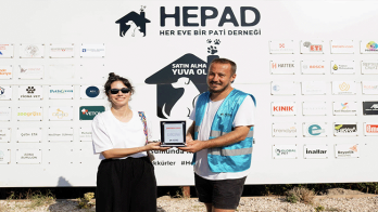 4 Ekim Hayvanları Koruma Günü kapsamında 10 hayvanın sahiplenilmesini sağladılar 