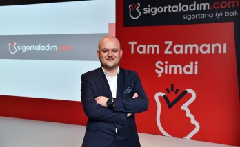 Pet11’den Bir İlk: pet11’e Özel Evcil Hayvan Sigortası